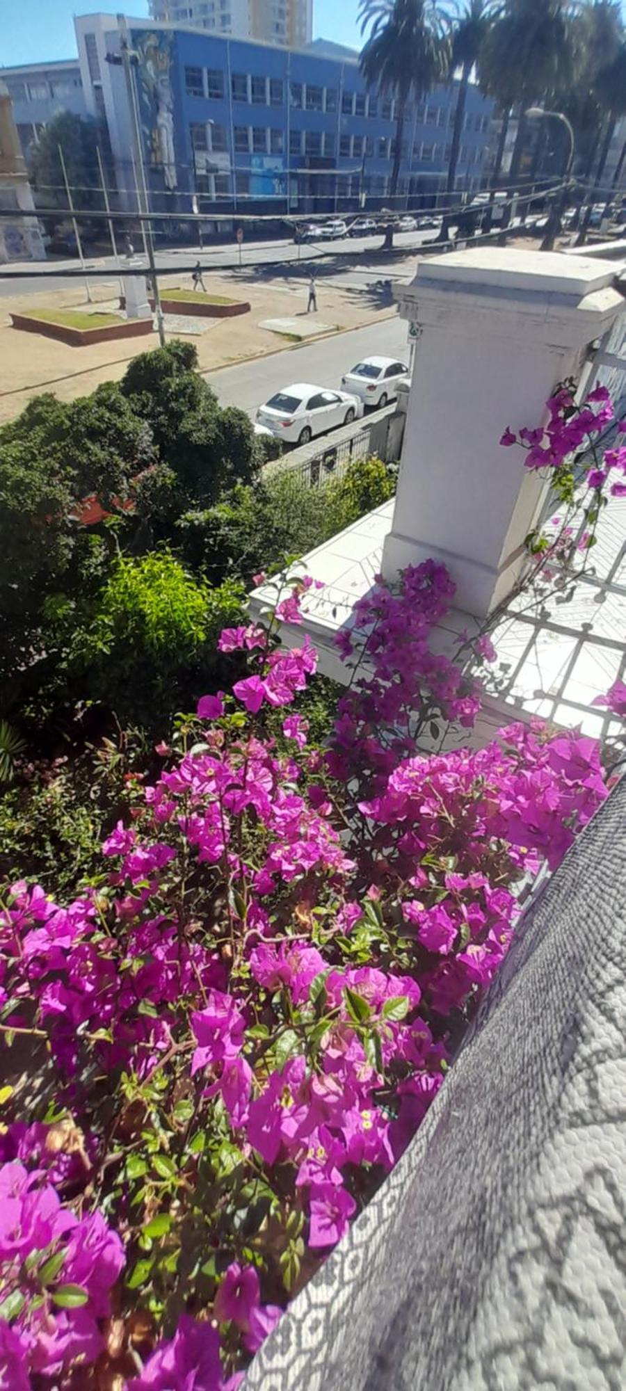 Blanca Rosa Valparaiso B&B Экстерьер фото