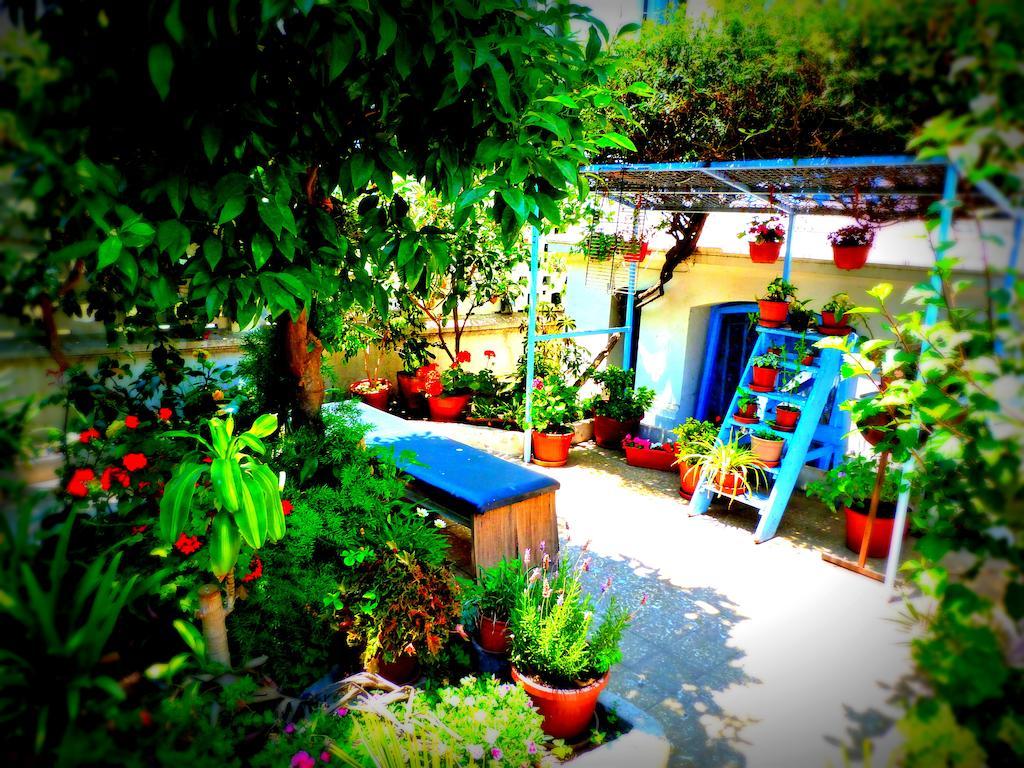 Blanca Rosa Valparaiso B&B Экстерьер фото