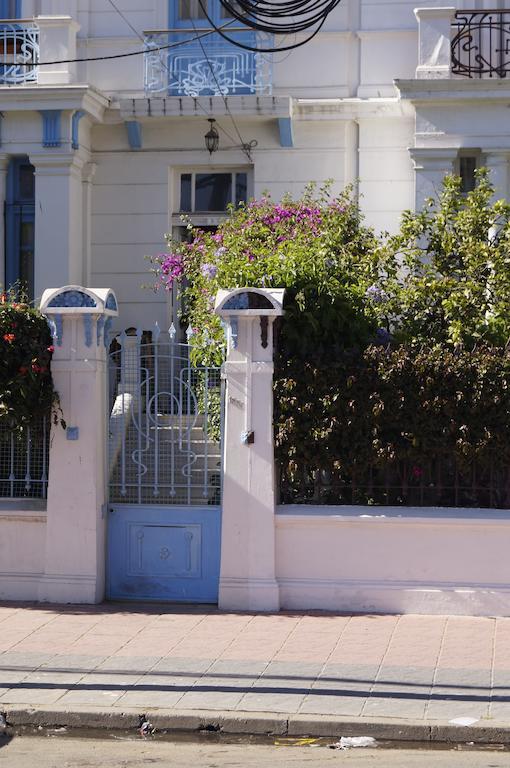 Blanca Rosa Valparaiso B&B Экстерьер фото